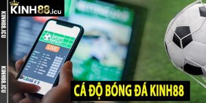 Cá Độ Bóng Đá Kinh88