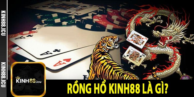 Rồng hổ Kinh88 là gì?