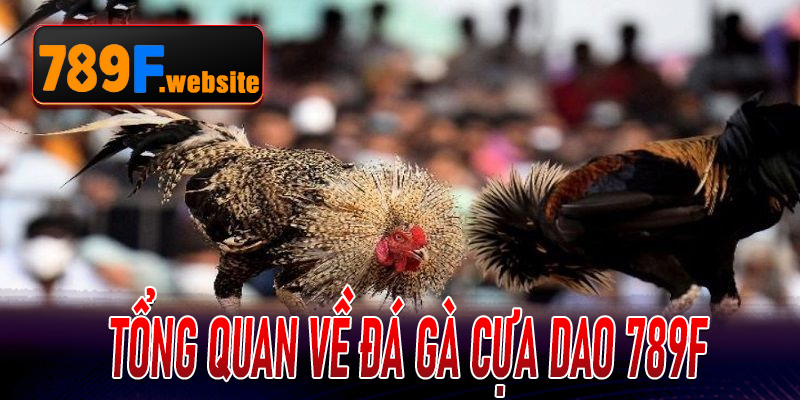 Tổng quan về Đá Gà Cựa Dao 789F – sân chơi uy tín cho dân mê gà chiến