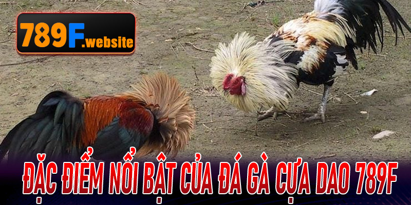 Đặc điểm nổi bật của Đá Gà Cựa Dao 789F so với các hình thức đá gà truyền thống