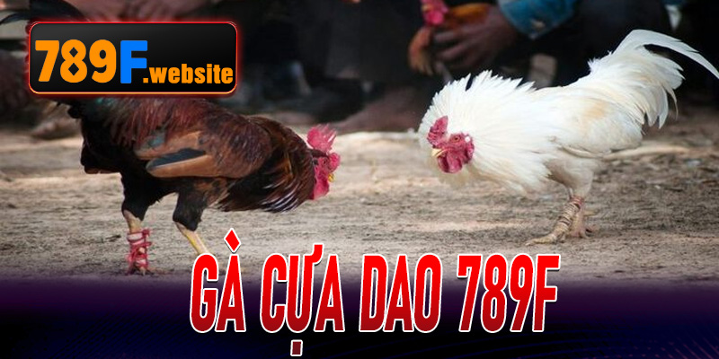 Đá Gà Cựa Dao 789F