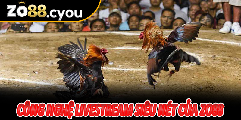 Công nghệ livestream siêu nét của Zo88