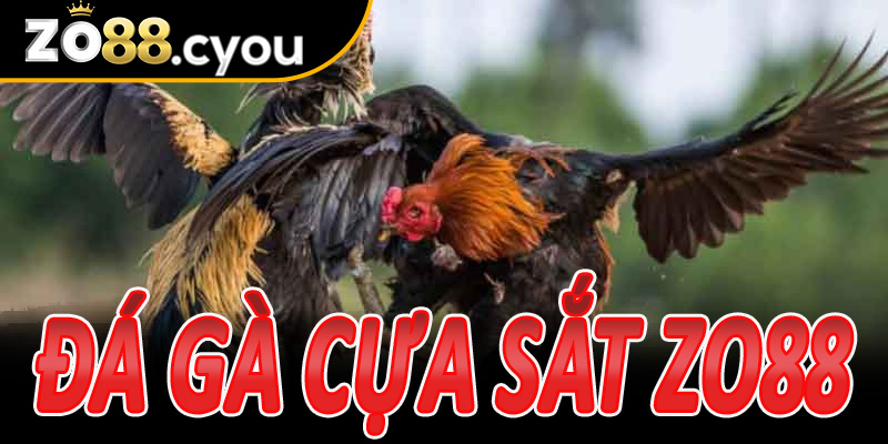 Đá Gà Cựa Sắt Zo88